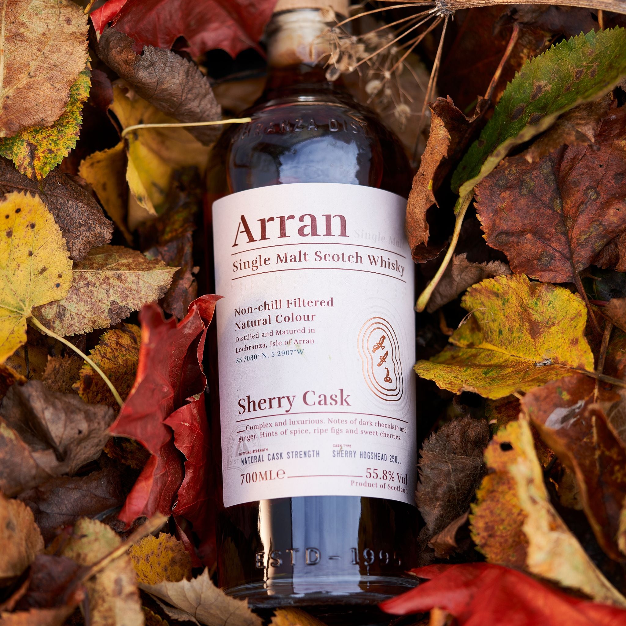 Arran Sherry Cask "Bodega" Single Malt Scotch Whisky