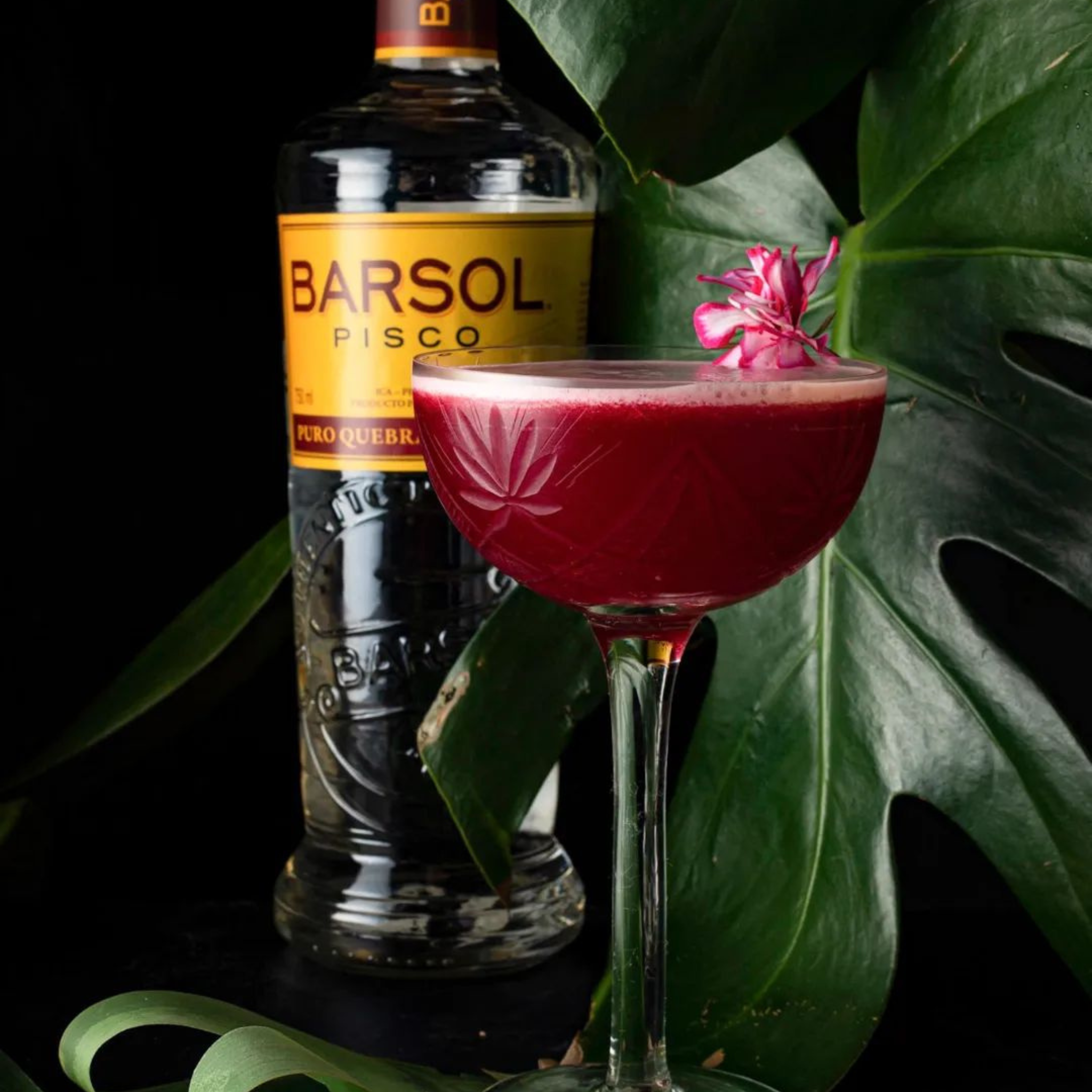 Barsol Puro Quebranta Pisco