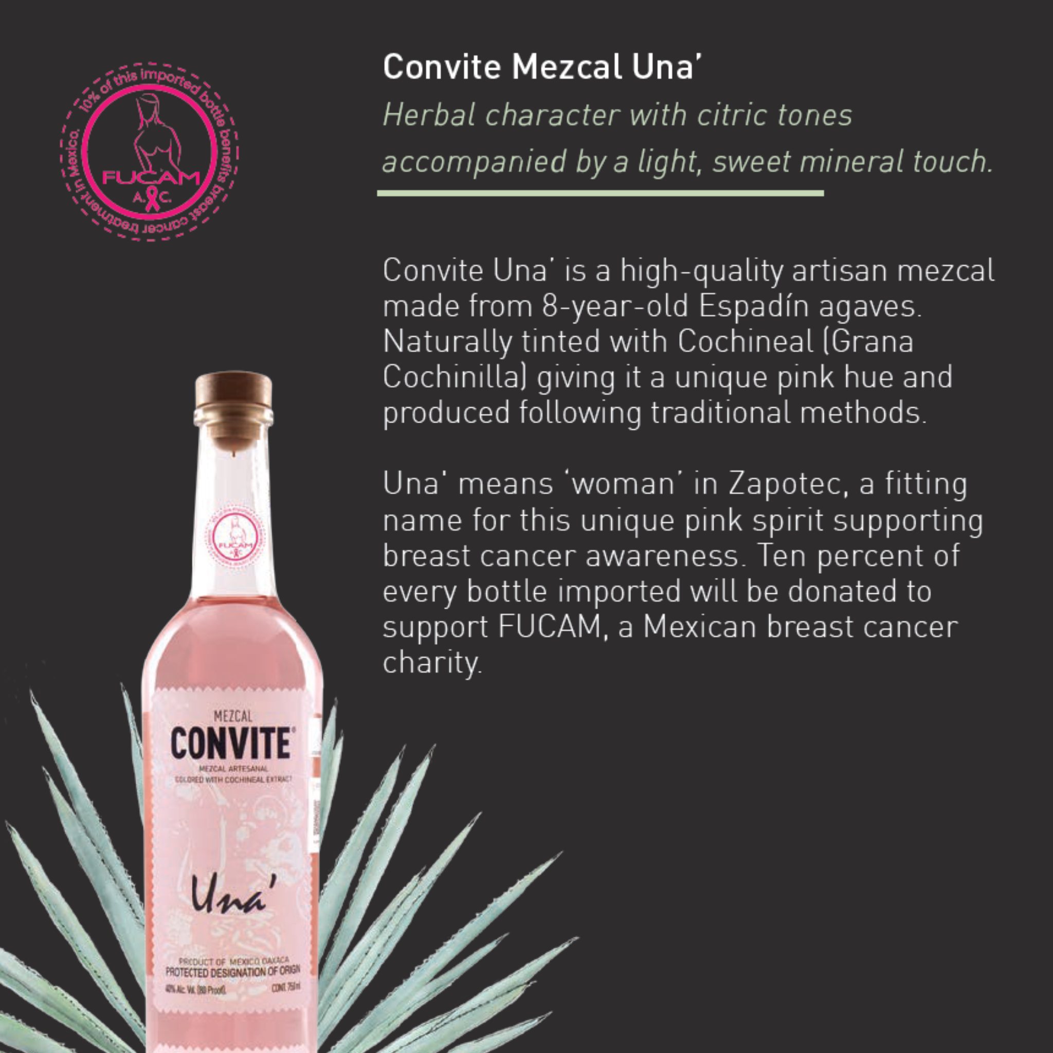 Convite Una Mezcal