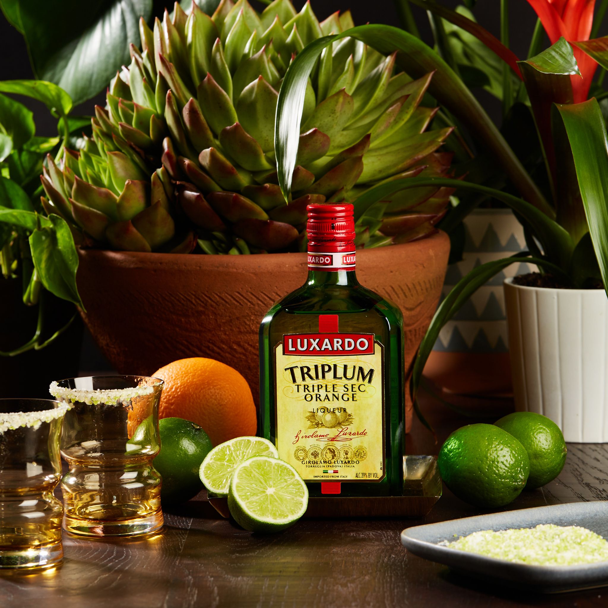 Luxardo Triplum Triple Sec Orange Liqueur