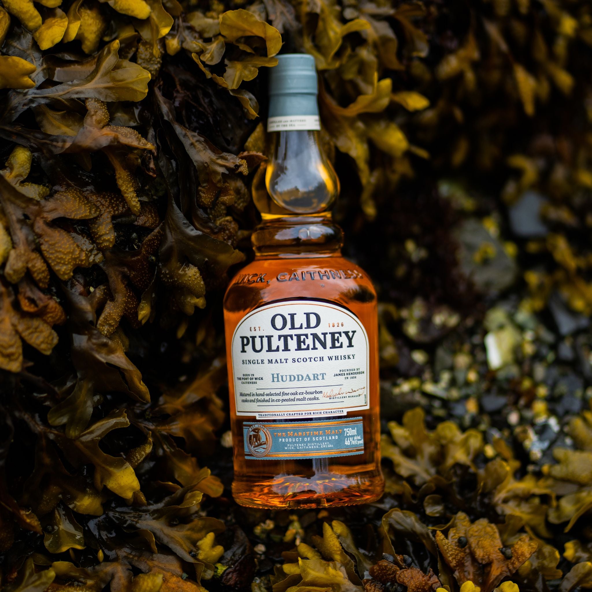 Old Pulteney Huddart Single Malt Scotch Whisky