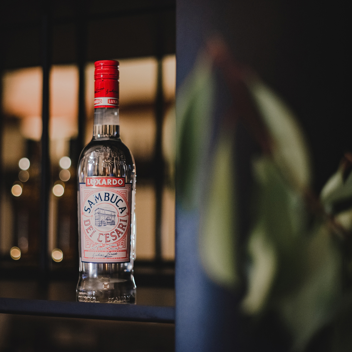 Luxardo Sambuca dei Cesari Liqueur
