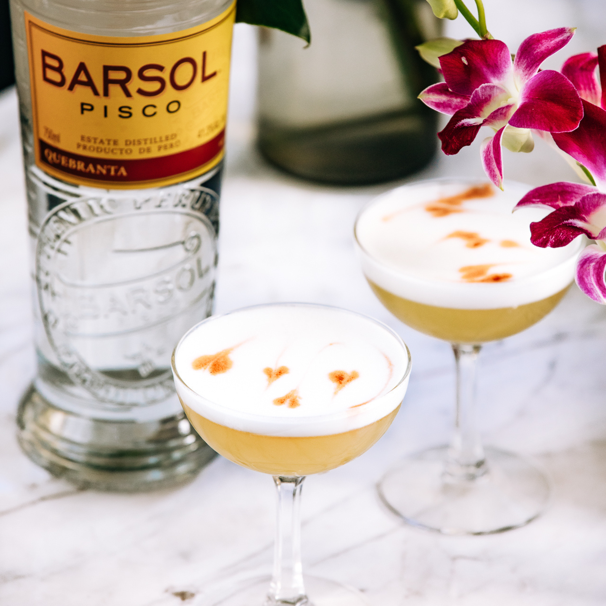 The Pisco Sour